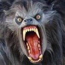 Chupacabra's picture
