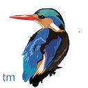 RealBird's picture