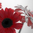 dawno's picture