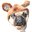 Avatar for TrophyGeek