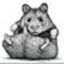 BerislavLopac's picture