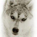 JeannineC's picture