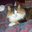twitter-60351024