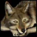 Nightlyre's picture