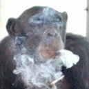 Earl E Morningwood's picture