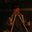 boomSLANG's picture