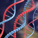 Junk DNA's picture