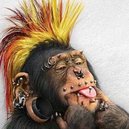 Marijn's picture